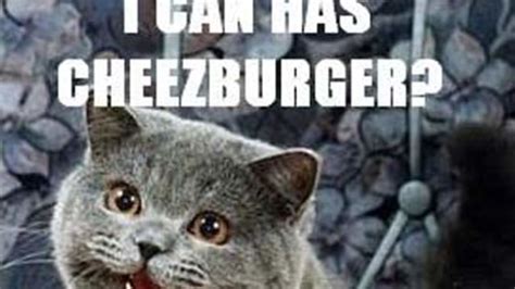 can i has cheezburger